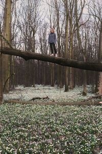 Brave lady standing on tree trunk over glade scenic photography