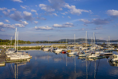 Sailboats moored at harbor