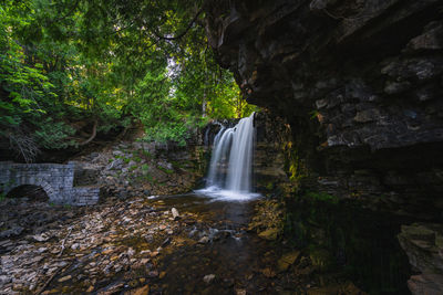 Beautiful waterfall in a nature landscape with trees and trail