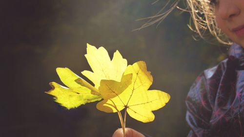 Cropped image of girl holding twigs