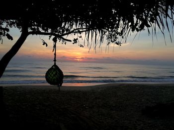 Silhouette trees on beach against sky during sunset