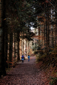 A women and child walking through a path between trees