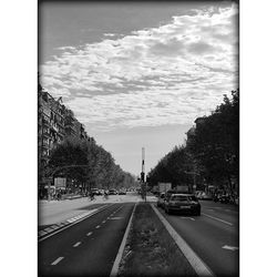 Road with trees in background