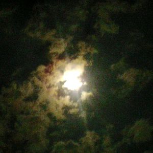 Low angle view of trees against sky