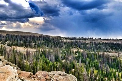 Panoramic view of landscape against sky
