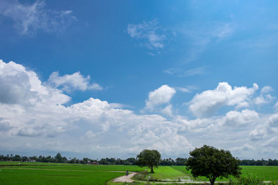 Scenic view of landscape against sky