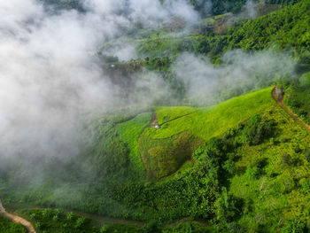 environment