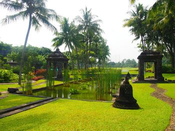 View of lush foliage in park