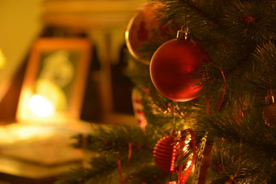 Close-up of christmas tree