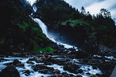 Scenic view of waterfall in forest