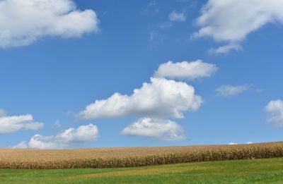 Scenic view of agricultural field against sky