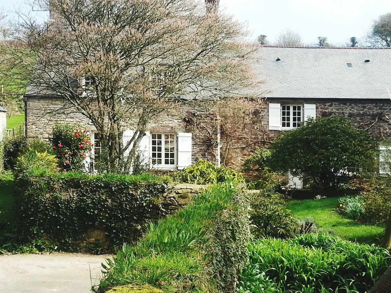 EXTERIOR OF HOUSES IN FRONT OF PLANTS