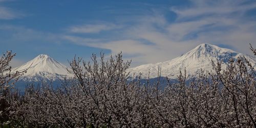 Scenic view of snowcapped mountains against sky