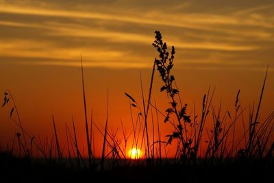 Scenic view of landscape at sunset