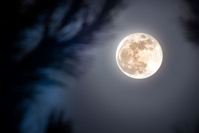 Low angle view of moon against sky at night