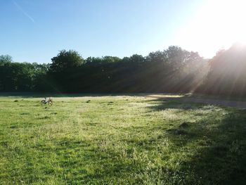 Scenic view of field against clear sky