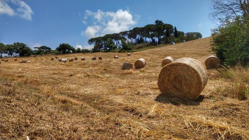 Hay bales on field against sky