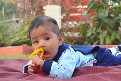 Portrait of cute baby boy holding toy while lying on blanket