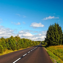 Empty road amidst trees against sky