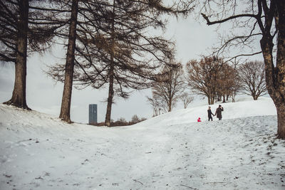 Family in snow covered park
