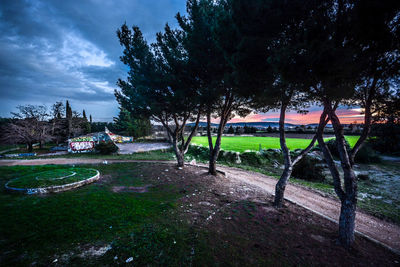 Trees in park