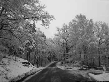 Road passing through forest
