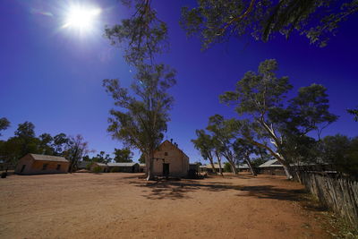 Low angle view of trees and building against blue sky