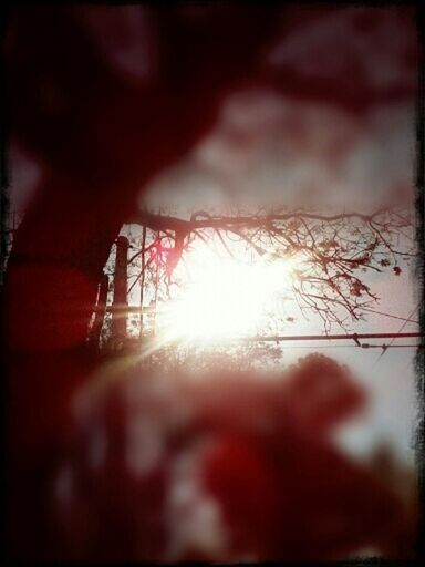 sun, transfer print, lens flare, auto post production filter, silhouette, sunlight, sunset, low angle view, sunbeam, focus on foreground, selective focus, connection, chainlink fence, outdoors, nature, fence, sky, power line, no people, built structure