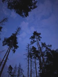 Low angle view of trees against sky