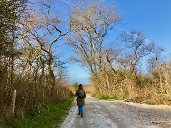 Rear view of woman walking on footpath amidst trees