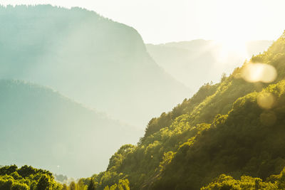 Scenic view of tree mountains against sky