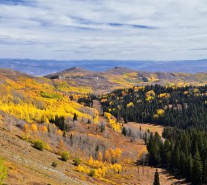 Scenic view of landscape against sky during autumn