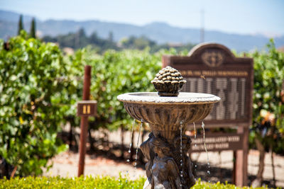 Close-up of fountain in park