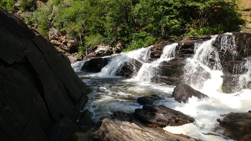 Scenic view of waterfall in forest