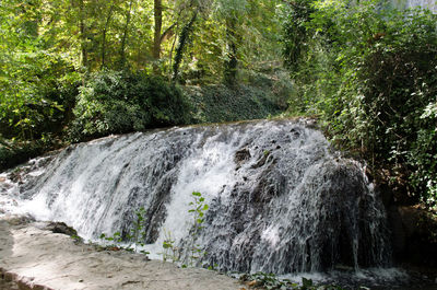 View of waterfall in forest