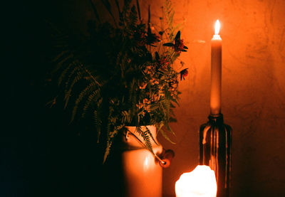 Close-up of illuminated candles on plant