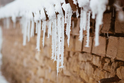 Close-up of icicles on wood during winter