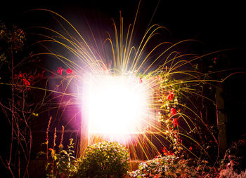 Low angle view of firework display