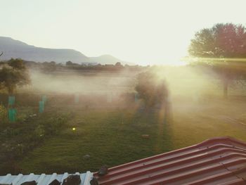 Scenic view of grassy field