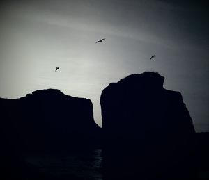 Silhouette birds flying over sea against sky