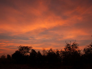 Silhouette trees against dramatic sky during sunset