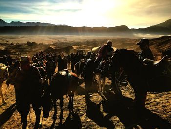 Panoramic view of people on landscape against sky during sunset