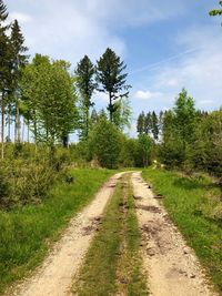 Dirt road along plants and trees against sky