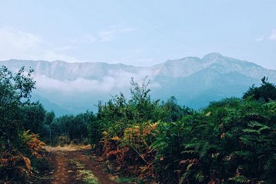 Scenic view of mountains against sky