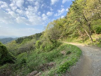 Scenic view of road amidst trees against sky