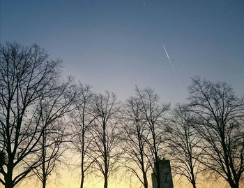 Low angle view of bare trees against sky