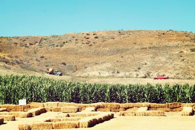 Scenic view of landscape against clear sky