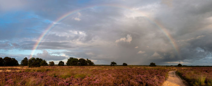 Scenic view of rainbow over land against sky