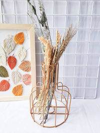 Close-up of plant on table