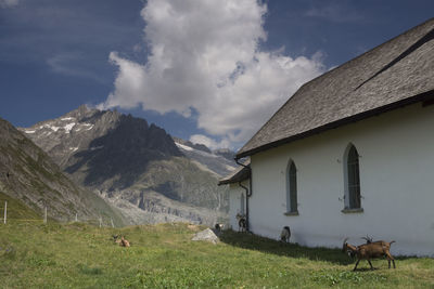 Scenic view of landscape and mountains against sky